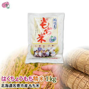 もち米 1kg お取り寄せ ギフト なめらか柔らかい「はくちょうもち」使用 はくちょうもち精米 餅