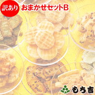 （◆期日指定不可◆）【訳あり】おまかせセット B（賞味期限が一番短い商品は2026年6月15日）