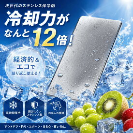 【7/4 20時～ 70％OFF・2点目半額クーポン 】保冷剤 ステンレス 長時間 強力保冷 クーラーボックス 小型 長持ち 繰り返し使える 冷蔵冷凍対応 熱中症対策 スピード冷凍 高性能保冷 ステンレス製アイスパック 保冷パック お弁当 釣り アウトドア キャンプ
