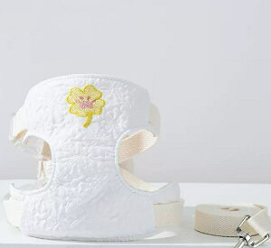  n[lX ^ Ȃ U ʂ EȂ  S L n[lX ybgpi p ^ ^  킢 ȒP  ֗ObY Č t`uhbO