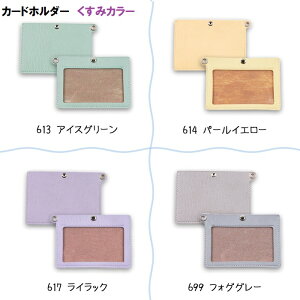 イナズマ 合皮カードホルダー くすみカラー【カードホルダー 名刺 キャッシュカード クレジットカード 定期券 交換用 付け替え ネコポス対応】