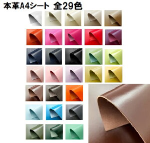 PHU[ {vV[g A4TCYy@v@e[v@|CgAbvΏۏiz