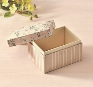 �J���g�i�[�W�� �L�b�g �m�[�}���{�b�N�X �{�[�����ْ͍f�E�^�����ς�!