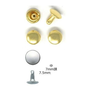 ʃJV@@50@S[hi{bLjHM-RK-GM@yobO@΂@|@ł@ڑł@ߋʁ@C@p@lR|X֑Ήz