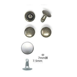 ʃJV@@50@AeB[NS[h@HM-RK-AGMyobO@΂@|@ł@ڑł@ߋʁ@C@p@lR|X֑Ήz