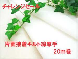 `W̔@I艮IWi HM|120P|20 ЖʐڒLgȁijiLgcj20my oC[ |ޗ pb`[N n c ȁz