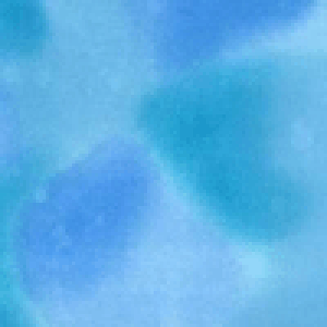 |CgҌ5{Ώۏi nCALgɂ߁Iނߐn@J[M8@30cm10cmPʂł̐؂蔄ynCALg@n@z@ނ߁@߁@|CgAbvΏۏ