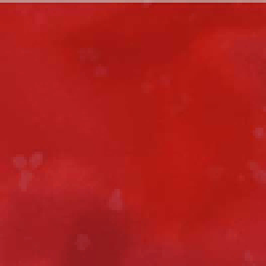 |CgҌ5{Ώۏi nCALgɂ߁Iނߐn@J[M9@30cm10cmPʂł̐؂蔄ynCALg@n@z@ނ߁@߁zylR|X֑Ήz