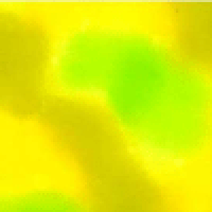 |CgҌ5{Ώۏi nCALgɂ߁Iނߐn@J[M12@30cm10cmPʂł̐؂蔄ynCALg@n@z@ނ߁@߁zylR|X֑Ήz