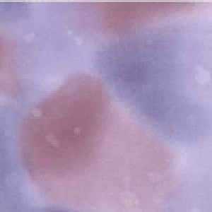 |CgҌ5{Ώۏi nCALgɂ߁Iނߐn@J[M15@30cm10cmPʂł̐؂蔄ynCALg@n@z@ނ߁@߁zylR|X֑Ήz