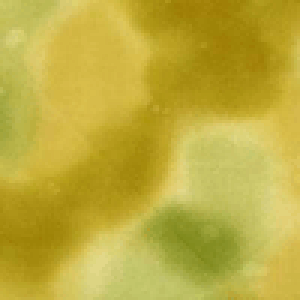 |CgҌ5{Ώۏi nCALgɂ߁Iނߐn@J[M18@30cm10cmPʂł̐؂蔄ynCALg@n@z@ނ߁@߁@|CgAbvΏۏ