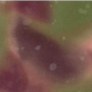 |CgҌ5{Ώۏi nCALgɂ߁Iނߐn@J[M19@30cm10cmPʂł̐؂蔄ynCALg@n@z@ނ߁@߁zylR|X֑Ήz