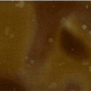 |CgҌ5{Ώۏi nCALgɂ߁Iނߐn@J[M20@30cm10cmPʂł̐؂蔄ynCALg@n@z@ނ߁@߁zylR|X֑Ήz