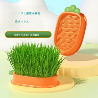 2個セット 水耕栽培猫草 植栽水耕ボックス 猫草栽培セット レイヤードデザイン トレイ発芽コンテナー 室…