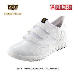 @싅g[jOV[Y@[bg@vXeC^X@BSR8615W@1111@zCg@@2022H~@_炩@At^[V[Y@fo@yʁ@y@ZETT@PROSTATUS@