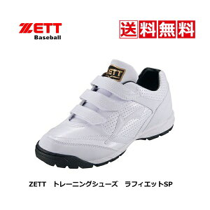 @싅@\tg@g[jOV[Y@@ZETT@[bg@tBGbgSP@BSR8875@1111@@@w@Z@ʁ@gV[@@zCg@K@3E@L