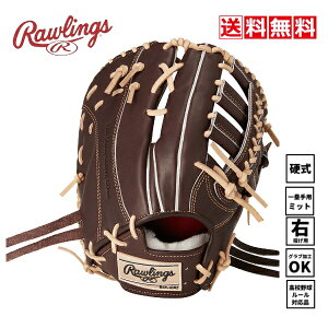 @[OX@싅@d@ʁ@O[u@t@[Xgp@GH4PRGM6@MO@J@ێ@Ep@@Ou@24SS@w@Z@싅@w@12C`@Rawlings