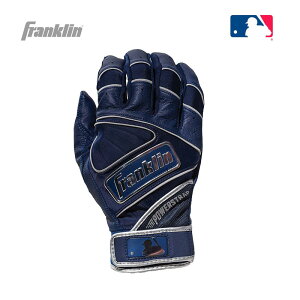 @싅@\tg{[@obeBOO[u@obeBO܁@@Ōp܁@ʁ@l@p@lCr[@@Franklin@tN@POWERSTRAPCROME@p[XgbvN