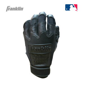 @싅@\tg@obeBOO[u@Franklin@tN@CFXnCXN[f@20599@ubN@@Z싅Ή@p@obeBO܁@Ōp܁@@