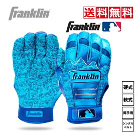 送料無料　野球　ソフトボール　バッティンググローブ　220373　ブルー　Franklin　フランクリン　25MLB　Father'sDay　父の日モデル　バッティング手袋　打撃用手袋　一般　大人　MLB