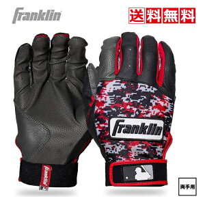 @WjAp@싅@\tg{[@obeBOO[u@Franklin@tN@21008@p@ DIGITEK @ԁ@@O[@ 싅@ @p@Ōp܁@ǂ@LbY