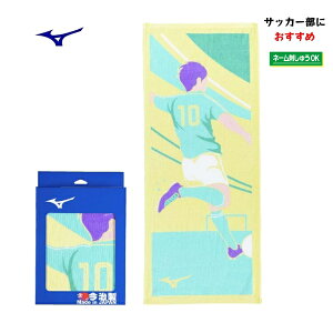 ~Ym@ tFCX^I@mizuno@32JYC12200@34cm×80cm@TbJ[@c@Ɓ@LOi@hイ@hJ@l[@@@搶@ԁ@{@^I