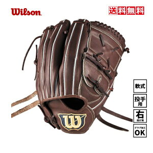 送料無料 野球 一般 軟式グラブ 投手用 Wilson ウィルソン WBW103720 Dブラウン 右投げ 12インチ   ベーシックラボ デュアル SA17型 野球グローブ 中学 部活 大人 茶