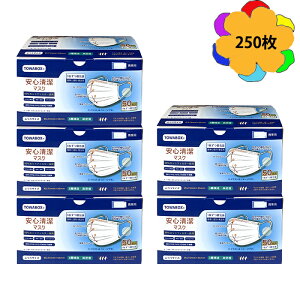 yz}XN 250 sDz}XN 3w\ q 50×5 ĝ Kl܂ɂ ɂȂȂ ₷ ECX򖗑΍ ԕ΍ nEX_Xg΍ JbgtB