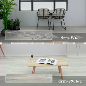 yX[p[SALED16OFFztA^C u 6 NbVtAؖڒ S \邾 u  ~ tAV[g t[O}bg Ebh CNV[g ؖ k