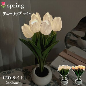 yX[p[SALE8OFFz؍ CeA Cg `[bv Cg `[bvzCg|bgLED Cg  t[   u^ CeA  ؍ SNSf [hCg G p