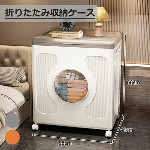 ySX8OFFN[|z܂肽 [{bNX e ߑP[X  zc ߗގ[ ω׏d90kg ^tbvJ ȒPgݗ  RpNg[ ȃXy[X  ho