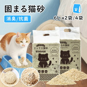 yՊہzL Ƃ܂  6L x2/4 lR L hL R ł܂ gCɗ RS~