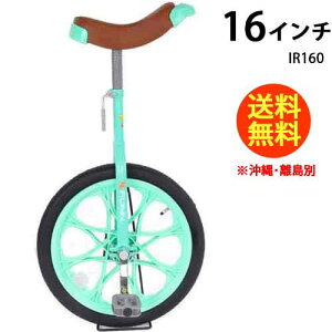 21Technology 21�e�N�m���W�[ ��֎� �q���p �q�� 16�C���` IR160 �O���[�� FUNN ���]�� �� ���j�� �v���[���g �a���� ���w��