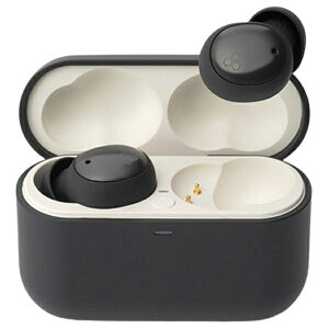 final ���S���C�����X�C���z�� ZE500 for ASMR FI-ZE5DPLTWDG �_�[�N�O���[ FIZE5DPLTWDG