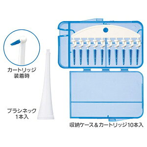 pi\jbN EW0945W 炩ԃuV Doltz(hc)  EW0945-W m10{n