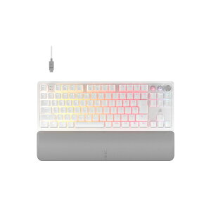 RZA CH911921GJP Q[~OL[{[h{XgXg(sbhgK[Ή) K70 PRO TKL-MGX v2-WHT zCg CH-911921G-JP mL /USBn