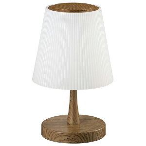 �I�[���d�@ TTY20TT LED�^�b�`���C�g ������ TT-Y20T-T �mLED /�d���F�n