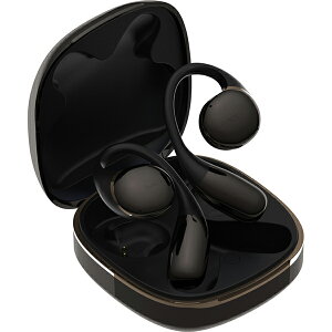 AVIOT �t�����C�����X�C���z�� Openpiece H TE-H1-BK �u���b�N �I�[�v���C���[�^ ���E����