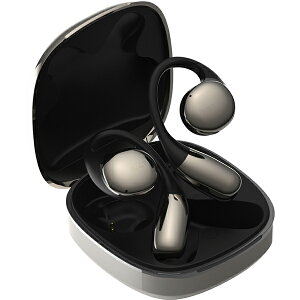 AVIOT tCXCz Openpiece H TE-H1-SL Vo[ I[vC[^ E