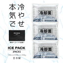 【楽天1位】大型保冷剤 3個セット 135mm × 185mm 日本製 アイスパック 冷却 長時間持続 熱中症対策 アイスベスト用 …