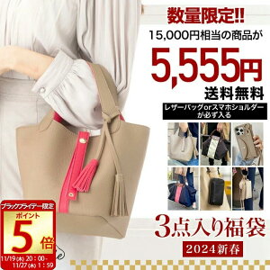 [ubNtCf[|Cg5{]y15,000~ʌz 2024N 3_ fB[X HAPPYBAG 15,000~ 3_ ӂԂ U[ obO iC g[gobO  킢 