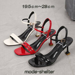 T_ Xgbv  I[vgD 19.5cm 20cm 20.5cm 21cm 21.5cm 22cm 22.5cm 23cm 23.5cm 24cm 24.5cm 25cm 25.5cm 26cm 26.5cm 27cm 27.5cm 28cm TCY 傫TCY