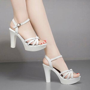 y X[p[Z[ ő 50OFF z |Cg2{ zT_  nCq[ `L[q[ I[vgD Xgbv T_    20.5cm 21cm 21.5cm 22cm 22.5cm 23cm 23.5cm 24cm 24.5cm 25cm 