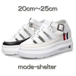 T_ OJT_ pfbhT_ T_ Xj[J[  EFbW\[ Xj[J[ fB[X 20cm 20.5cm 21cm 21.5cm 22cm 22.5cm 23cm 23.5cm 24cm 24.5cm 25cm TCY