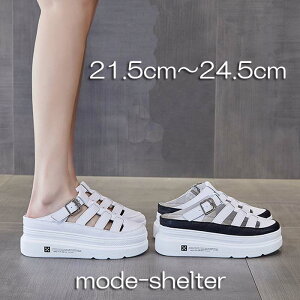 T_ OJT_  pfbhT_ T_ ou[V ƂȂ Xj[J[ OfBG[^[ EFbW\[ Xj[J[ 21.5cm 22cm 22.5cm 23cm 23.5cm 24cm 24.5cm 