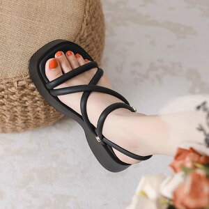 T_ y y y  T_ `L[q[ Xgbv 20.5cm 21cm 21.5cm 22cm 22.5cm 23cm 23.5cm 24cm 24.5cm  T_   rWlX I[vgD TCY fB[X