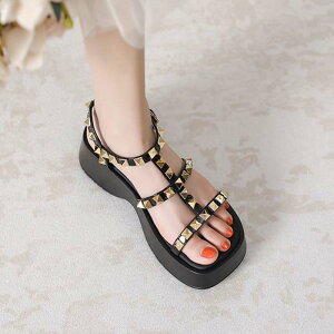 T_  y y y T_ `L[q[ Xgbv 20.5cm 21cm 21.5cm 22cm 22.5cm 23cm 23.5cm 24cm 24.5cm Ȃ   rWlX I[vgD TCY fB[X X^bY