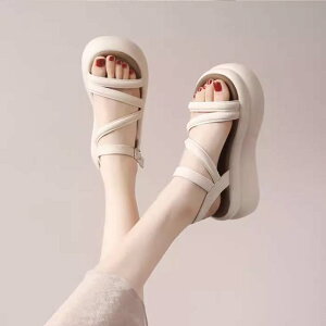 T_  T_ EFbW\[ Xgbv 20.5cm 21cm 21.5cm 22cm 22.5cm 23cm 23.5cm 24cm 24.5cm  T_   rWlX I[vgD TCY