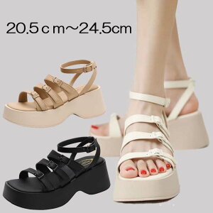 T_  T_ Xgbv `L[q[ EFbW\[ 20.5cm 21cm 21.5cm 22cm 22.5cm 23cm 23.5cm 24cm 24.5cm   TCY