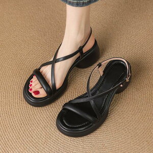 T_  T_ `L[q[ q[ I[vgD 20.5cm 21cm 21.5cm 22cm 22.5cm 23cm 23.5cm 24cm 24.5cm 25cm 25.5cm 26cm 26.5cm TCY 傫TCY fB[X Ȃ l